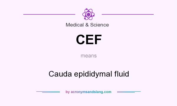 What does CEF mean? It stands for Cauda epididymal fluid
