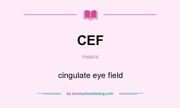 What does CEF mean? It stands for cingulate eye field