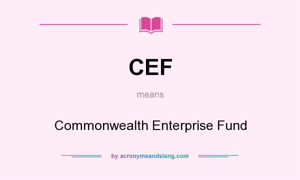 What does CEF mean? It stands for Commonwealth Enterprise Fund
