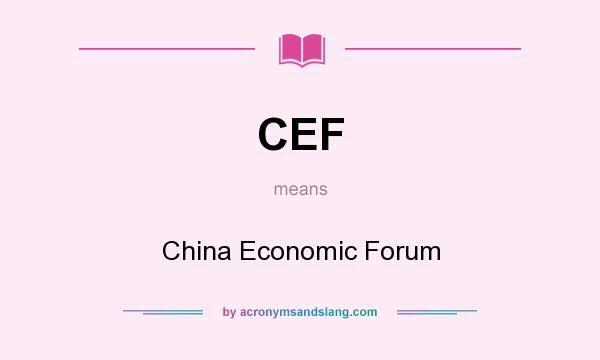 What does CEF mean? It stands for China Economic Forum