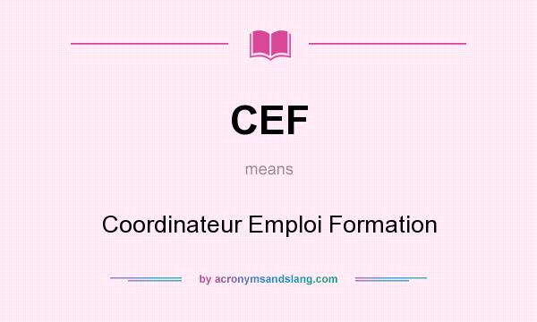 What does CEF mean? It stands for Coordinateur Emploi Formation