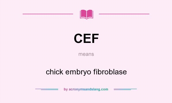 What does CEF mean? It stands for chick embryo fibroblase