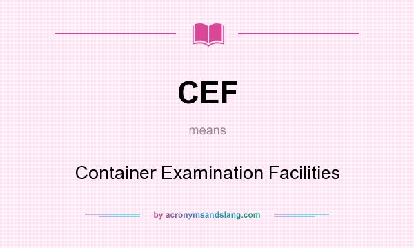 What does CEF mean? It stands for Container Examination Facilities