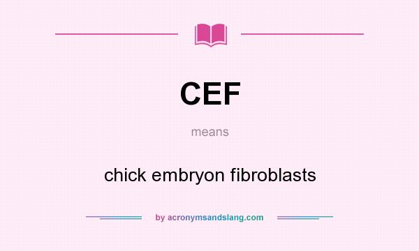 What does CEF mean? It stands for chick embryon fibroblasts