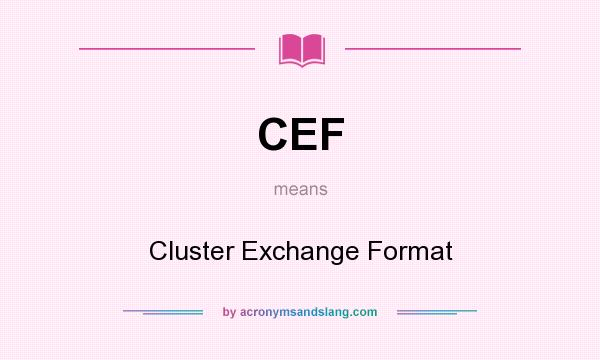 What does CEF mean? It stands for Cluster Exchange Format