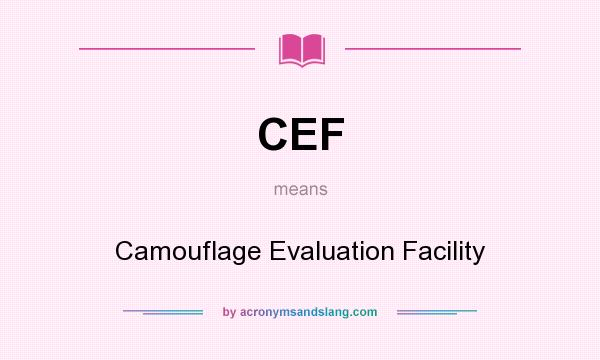 What does CEF mean? It stands for Camouflage Evaluation Facility