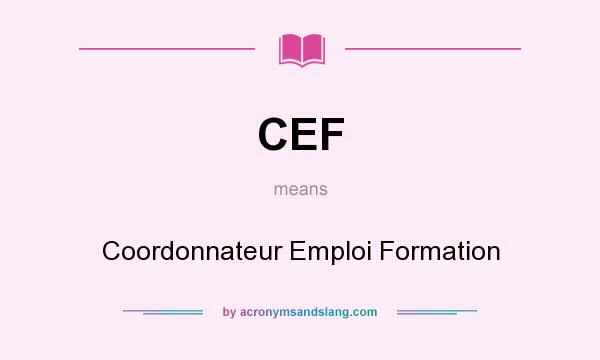 What does CEF mean? It stands for Coordonnateur Emploi Formation