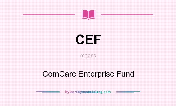 What does CEF mean? It stands for ComCare Enterprise Fund