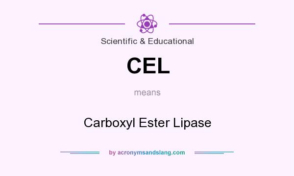 What does CEL mean? It stands for Carboxyl Ester Lipase