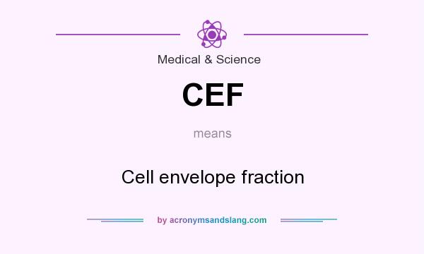 What does CEF mean? It stands for Cell envelope fraction