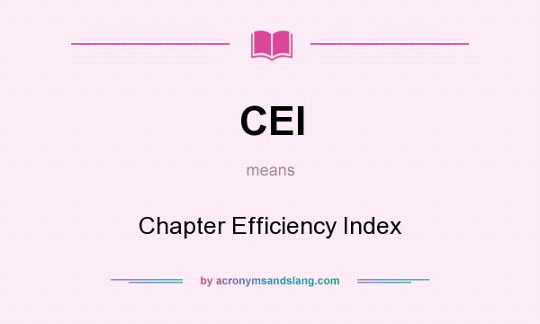 What does CEI mean? It stands for Chapter Efficiency Index