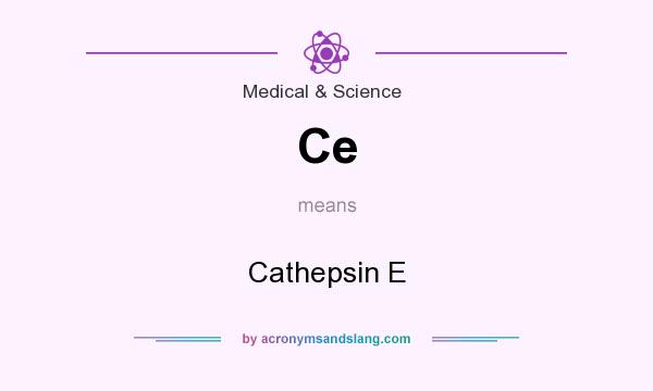 What does Ce mean? It stands for Cathepsin E
