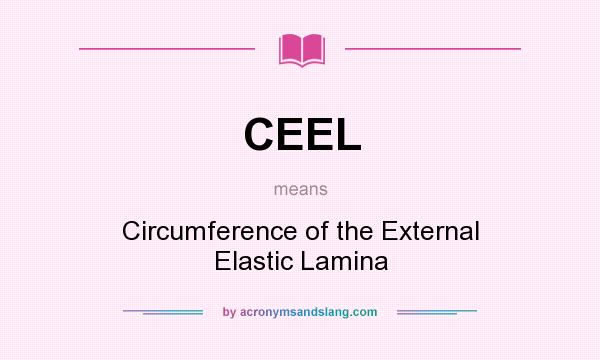 What does CEEL mean? It stands for Circumference of the External Elastic Lamina