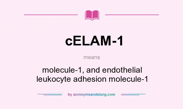 What does cELAM-1 mean? It stands for molecule-1, and endothelial leukocyte adhesion molecule-1