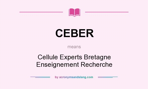 What does CEBER mean? It stands for Cellule Experts Bretagne Enseignement Recherche