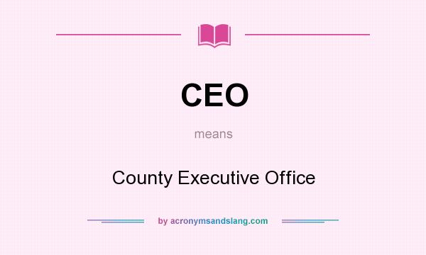 What does CEO mean? It stands for County Executive Office