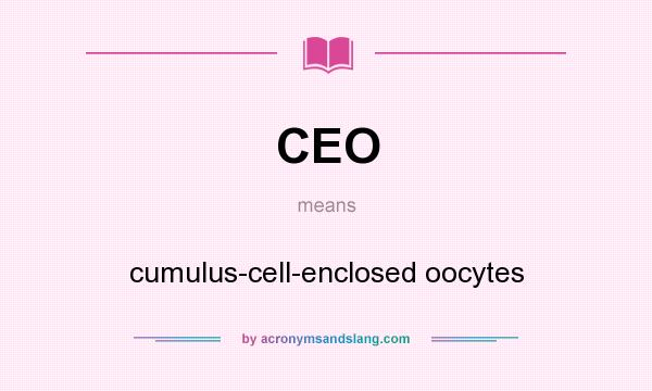 What does CEO mean? It stands for cumulus-cell-enclosed oocytes