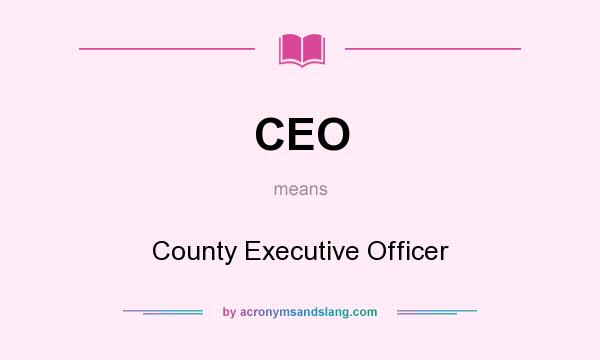What does CEO mean? It stands for County Executive Officer