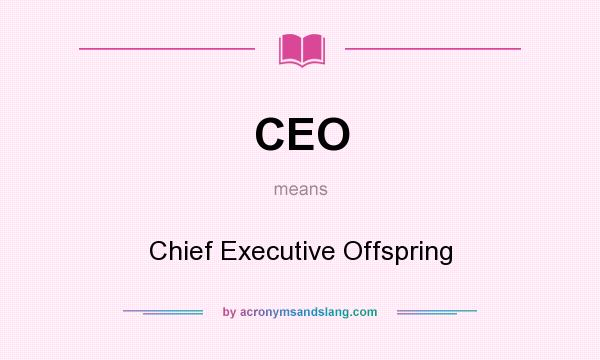 What does CEO mean? It stands for Chief Executive Offspring
