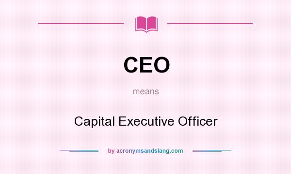 What does CEO mean? It stands for Capital Executive Officer