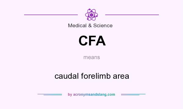 What does CFA mean? It stands for caudal forelimb area