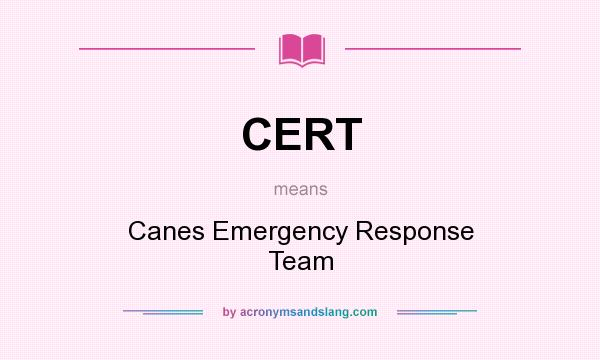 What does CERT mean? It stands for Canes Emergency Response Team