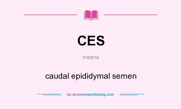 What does CES mean? It stands for caudal epididymal semen