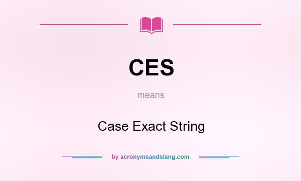 What does CES mean? It stands for Case Exact String