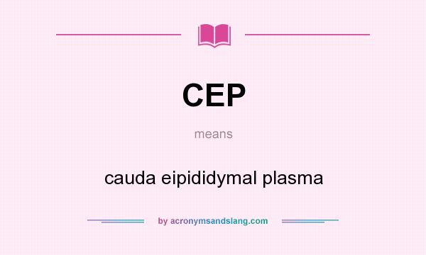 What does CEP mean? It stands for cauda eipididymal plasma