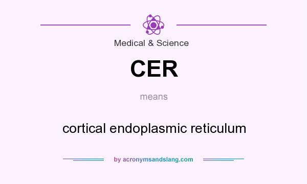 What does CER mean? It stands for cortical endoplasmic reticulum