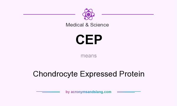 What does CEP mean? It stands for Chondrocyte Expressed Protein