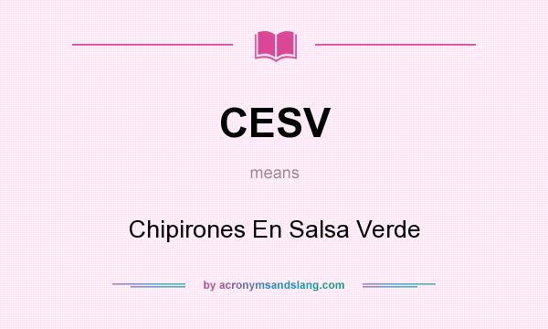 What does CESV mean? It stands for Chipirones En Salsa Verde