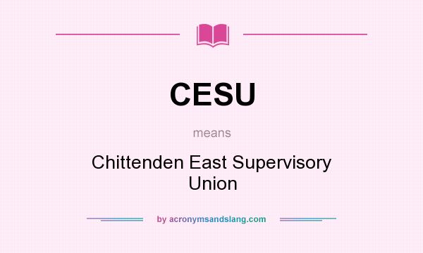 What does CESU mean? It stands for Chittenden East Supervisory Union