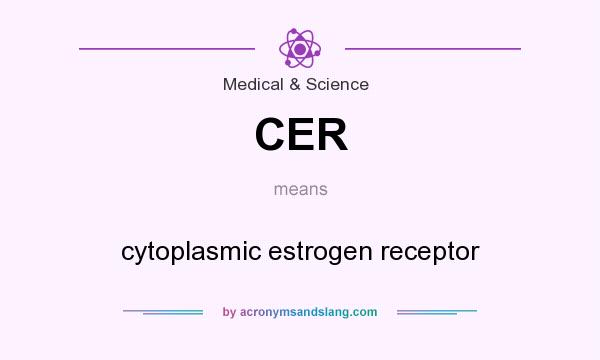 What does CER mean? It stands for cytoplasmic estrogen receptor