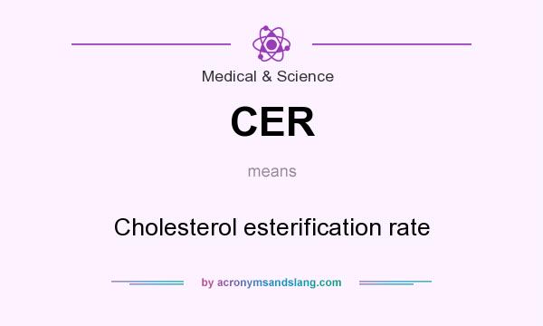 What does CER mean? It stands for Cholesterol esterification rate