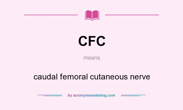 What does CFC mean? It stands for caudal femoral cutaneous nerve