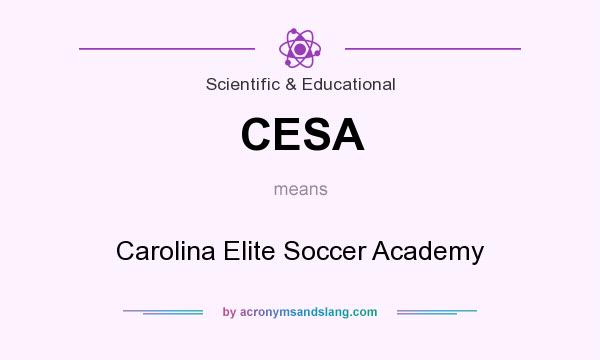 What does CESA mean? It stands for Carolina Elite Soccer Academy