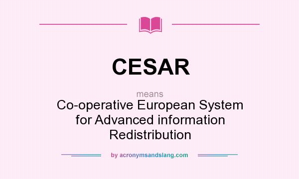 What does CESAR mean? It stands for Co-operative European System for Advanced information Redistribution