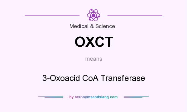 What does OXCT mean? It stands for 3-Oxoacid CoA Transferase