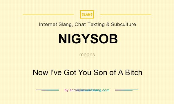 What does NIGYSOB mean? It stands for Now I`ve Got You Son of A Bitch