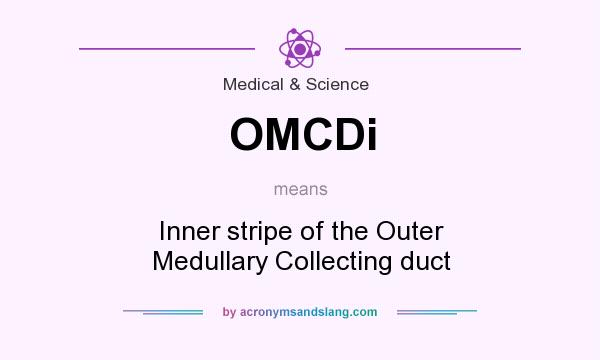 What does OMCDi mean? It stands for Inner stripe of the Outer Medullary Collecting duct