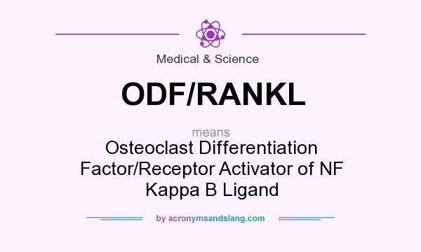 What does ODF/RANKL mean? It stands for Osteoclast Differentiation Factor/Receptor Activator of NF Kappa B Ligand