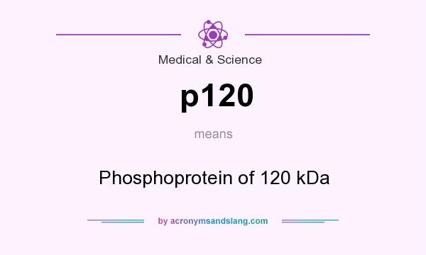 What does p120 mean? It stands for Phosphoprotein of 120 kDa