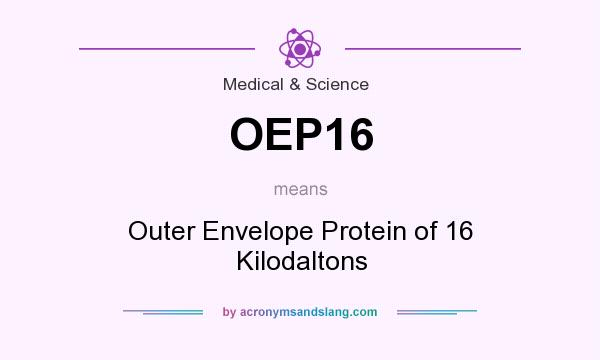 What does OEP16 mean? It stands for Outer Envelope Protein of 16 Kilodaltons