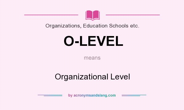 What does O-LEVEL mean? It stands for Organizational Level