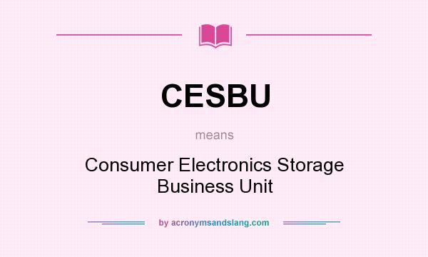 What does CESBU mean? It stands for Consumer Electronics Storage Business Unit
