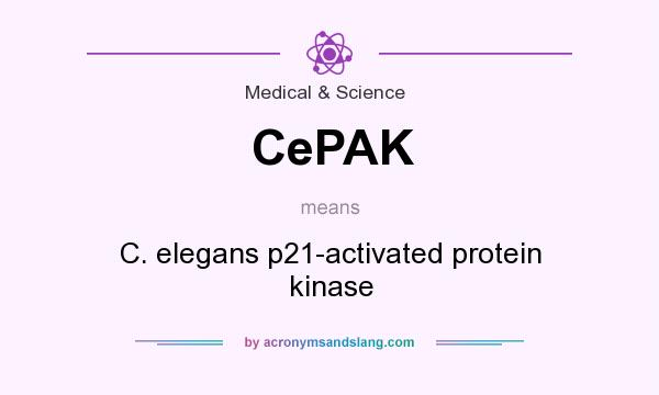 What does CePAK mean? It stands for C. elegans p21-activated protein kinase
