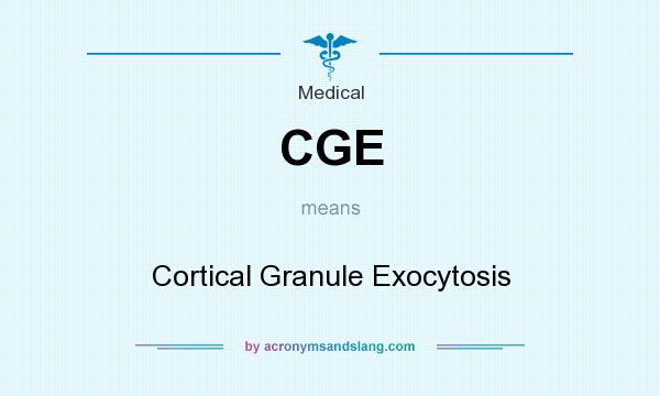 What does CGE mean? It stands for Cortical Granule Exocytosis