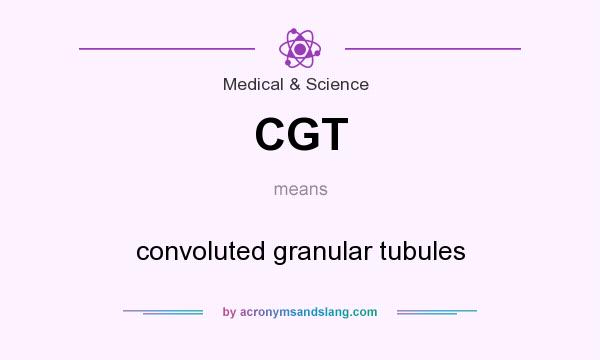 What does CGT mean? It stands for convoluted granular tubules