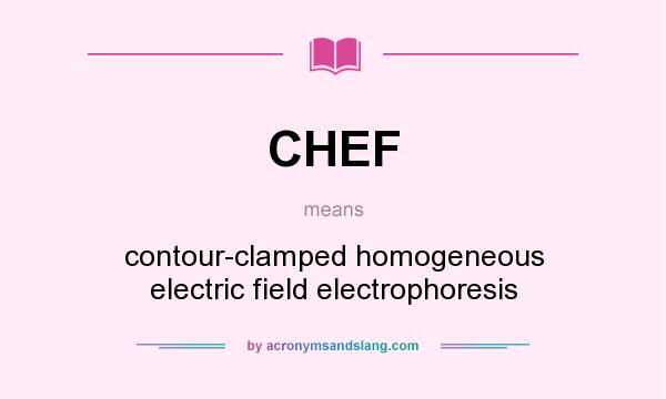 What does CHEF mean? It stands for contour-clamped homogeneous electric field electrophoresis